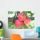 Tre Mele Rosse Su Wall Mural