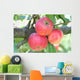 Tre Mele Rosse Su Wall Mural