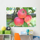 Tre Mele Rosse Su Wall Mural