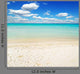 Ocean Wall Mural