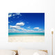 Tropical Sea