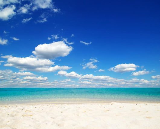 Tropical Sea
