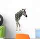 New Born Baby Zebra Isolated on White Wall Decal