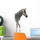 New Born Baby Zebra Isolated on White Wall Decal