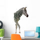 New Born Baby Zebra Isolated on White Wall Decal