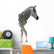 New Born Baby Zebra Isolated on White Wall Decal