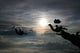 Silhouette Skydivers Wall Mural