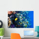 Coral and Fish Red Wall Mural