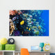 Coral and Fish Red Wall Mural