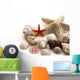 Shells Wall Decal