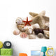 Shells Wall Decal