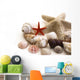 Shells Wall Decal