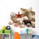 Shells Wall Decal