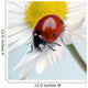 Ladybug Wall Mural