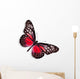 Red Butterfly