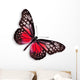 Red Butterfly