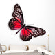 Red Butterfly
