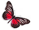 Red Butterfly