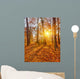 Sunset Autumn Forest