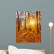 Sunset Autumn Forest