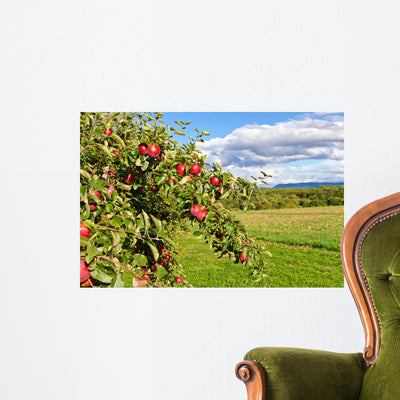 Apple Tree Nature shown on a wall