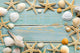 Sea Shells Frame Vintage