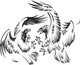 Fighting Birds