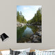 Altai River Kumir Wall Mural