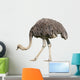 Ostrich