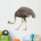 Ostrich