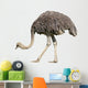 Ostrich