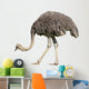 Ostrich