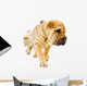 funny sharpei puppies isolated on white background Wall Decal