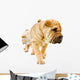 funny sharpei puppies isolated on white background Wall Decal