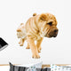funny sharpei puppies isolated on white background Wall Decal