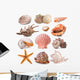 Seashell Collection