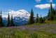 Mount Rainier Wall Mural