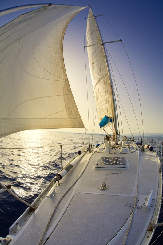 sail boat Wall Mural