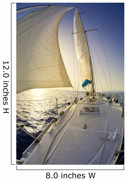 sail boat Wall Mural