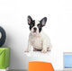 French bulldog puppy Wall Decal