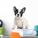 French bulldog puppy Wall Decal