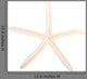 White Finger Starfish Wall Decal
