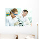 Clinical Study