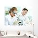 Clinical Study