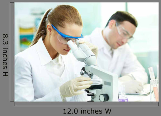 Clinical Study