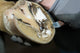 Horse Hoof Cut