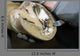 Horse Hoof Cut