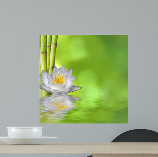 Nenufar with Bamboo and