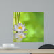Nenufar with Bamboo and