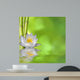 Nenufar with Bamboo and